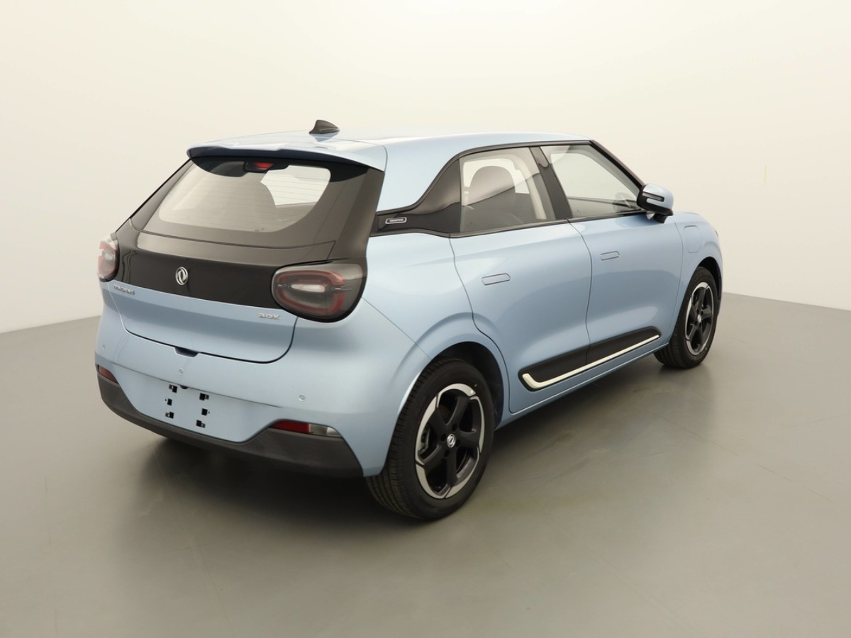 DONGFENG-BOX-PREMIUM EDITION 42.3KWH