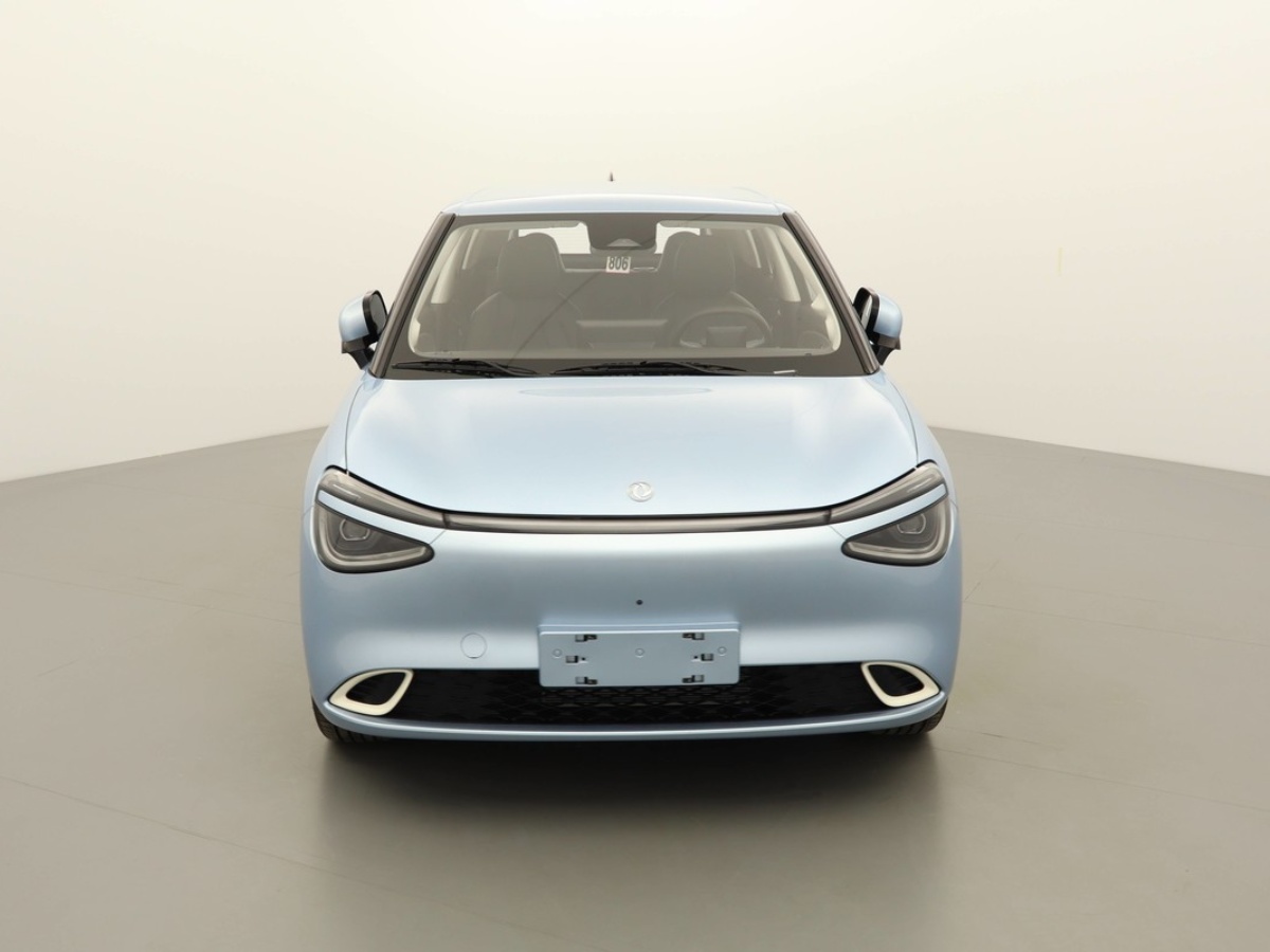 DONGFENG-BOX-PREMIUM EDITION 42.3KWH
