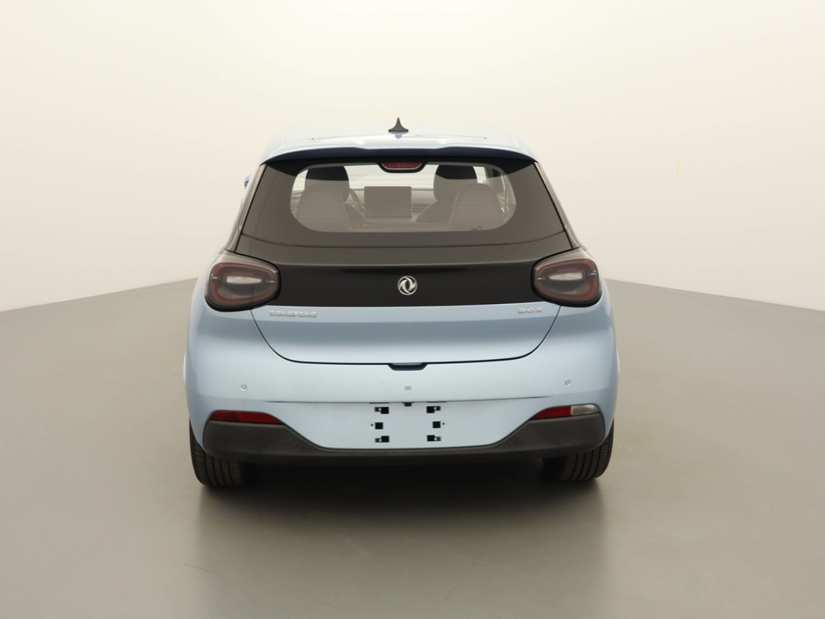 DONGFENG-BOX-PREMIUM EDITION 42.3KWH